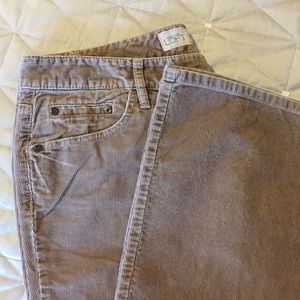 Ann Taylor Loft Curvy Boot Corduroy 5-pkt Jeans